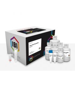 IBI Scientific I-Blue Mini-Plasmid Kit, 50 ug Yield