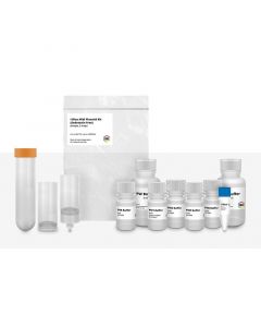 IBI Scientific Midi I-Blue Plasmide Kit (Endo Free) - 25 Prep Kit