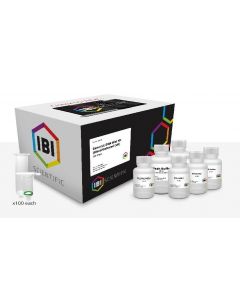 IBI Scientific Mini Genomic Dna Kit-Bloodcc 100 Prep Kit