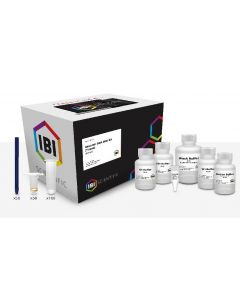 IBI Scientific Mini Genomic Dna Kit-Tissue 50 Prep Kit