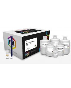 IBI Scientific Mini Genomic Dna Kit-Tissue 300 Prep Kit