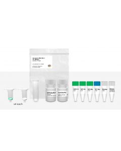 IBI Scientific Mini Genomic Dna Kit-Plant 4 Prep Sample Kit