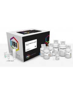 IBI Scientific Mini Genomic Dna Kit-Plant 100 Prep Kit