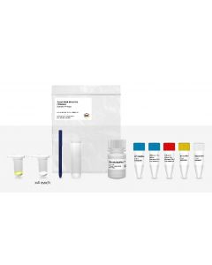 IBI Scientific Mini Total Rna Kit-Tissue 4 Prep Sample Kit