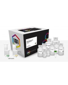 IBI Scientific DNA/RNA/Protein Extraction Kit