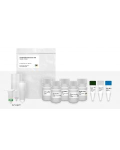 IBI Scientific Cfdnarna Extraction Kit