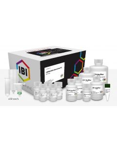 IBI Scientific Cfdnarna Extraction Kit