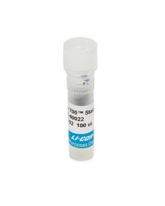 LI-COR Sapphire700™ Stain For Cell Viability Assays And In-Cell Western™ Assay Normalization, 100 Μl