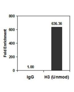 Millipore Anti-Histone H3 Antibody, (Unmodified Lys4), Clone Cma301,