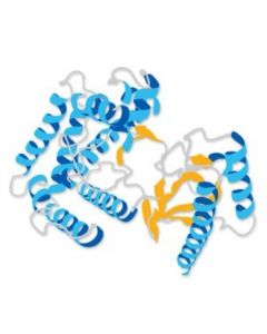 Millipore Casein Kinase 2 Substrate Peptide
