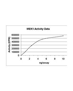 Millipore Mek1 Protein, Active, 10 &#181;G