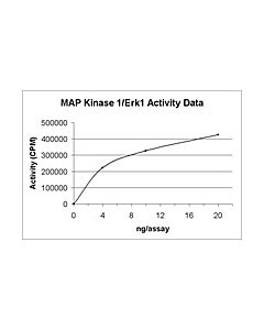 Millipore Map Kinase 1/Erk1 Protein, Active, 10 &#181;G
