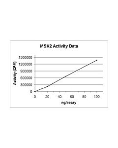 Millipore Msk2 Protein, Active, 10 &#181;G