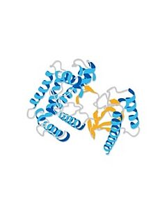Millipore Fgfr2 Protein, Active, 10 &#181;G
