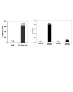 Millipore Chipab+ Histone H3 (Unmodified Lys4) - Chip Validated Antibody