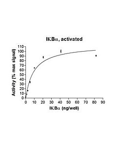 Millipore Ikba Protein, Activated, 10 &#181;G