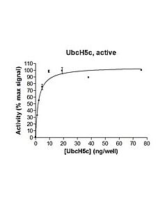 Millipore Ubch5c Protein, Active, 10 &#181;G