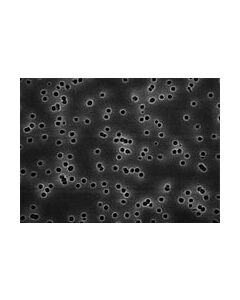 Millipore Isopore Membrane Filter