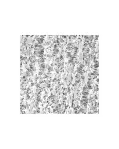 Millipore Omnipore Membrane Filter