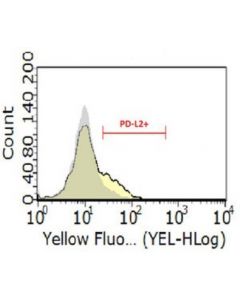 Millipore Anti-Pd-L2 Antibody, Clone 24f.10c12