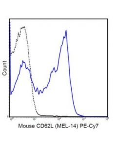 Millipore Anti-Cd62l (L-Selectin) Antibody (Mouse), Pe-Cy7, Clone