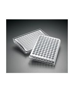Millipore Multiscreenhts Gv Filter Plate, 0.22 &#181;M, Clear, Non-Sterile
