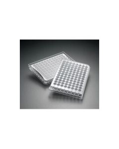 Millipore Multiscreenhts Ip Filter Plate, 0.45 &#181;M, Clear, Sterile