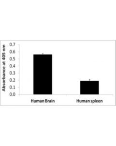 Millipore Cpgenome 5-Mc & 5-Hmc Human Dna Standards