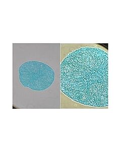 Millipore Alcian-Blue Staining Solution