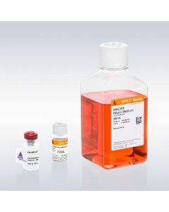 Miltenyi Biotec Medium For Astrocyte Cultivation
