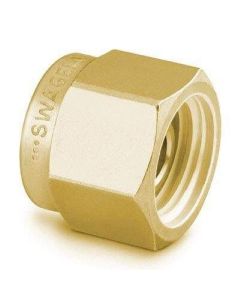 Perkin Elmer Brass Plug, Size: 1/8in - PE (Additional S&H or Hazmat Fees May Apply)