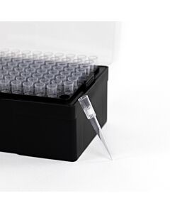 Polycarbin Filtered 200 uL Pipette Tips (Lts Compatible)