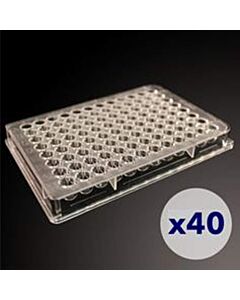 Revvity High-throughput counting plates, 12 x 2 orientation, 40/PK