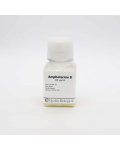 Quality Bio Amphotericin B 250 ug/ml 50ml