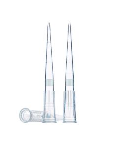 RPI Micro Low Retention Filter Tips 200ul Sterile 96/rk 960/cs
