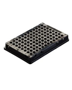RPI Opaque Thin Wall Pcr Plates, Rnase And Dnase Free, Black, 50 Per Case