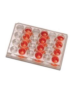 RPI Tissue CuLture Plates, Sterile, 24 Well Array, 3.5 mL Well Volume, 100 Per Package