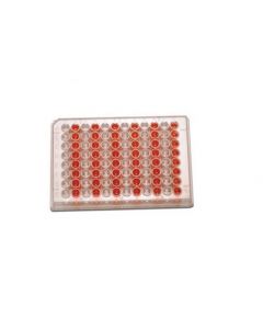 RPI Tissue CuLture Plates, Sterile, 96 Well Array, 0.39ml Well Volume, 100 Per Package
