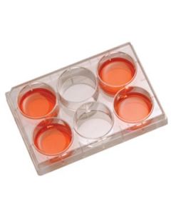 RPI Cell Culture Plates, 6 Well, 50 P