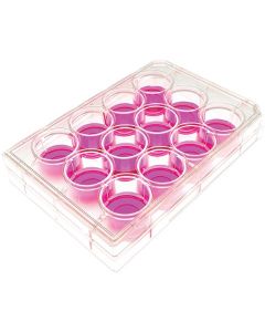 RPI Cell CuLture Plates, 12 Well, 50 Per Case