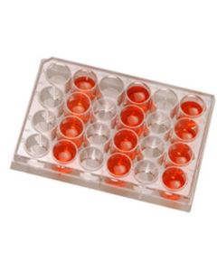 RPI Cell Culture Plates, 24 Well, 50