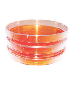 RPI Disposable Petri Dishes, Sterile, 100 X 15 mm, 20 Per Sleeve, 500 Per Case