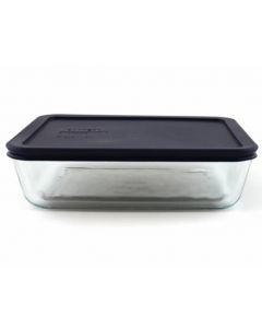 RPI Glass Staining Dish With Lid, Lar