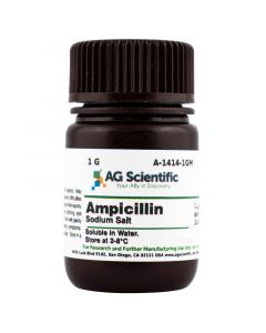 AG Scientific Ampicillin, Sodium Salt, 1 G