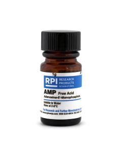 RPI Amp [Adenosine-5-Monophosphate, Free Acid], 1 Gram