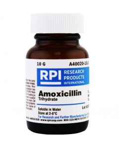 RPI Amoxicillin Trihydrate, 10 Grams