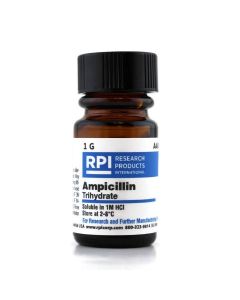 RPI Ampicillin Trihydrate, 1 Gram
