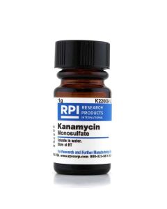 RPI Kanamycin MonosuLfate [Kanamycin A], 1 Gram