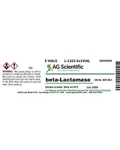 AG Scientific Beta-Lactamase, 5 vials