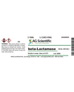 AG Scientific Beta-Lactamase, 1 vial
